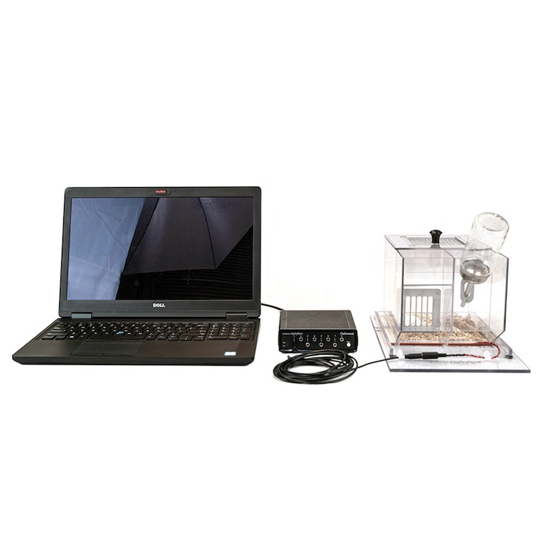 小睡眠监测系统